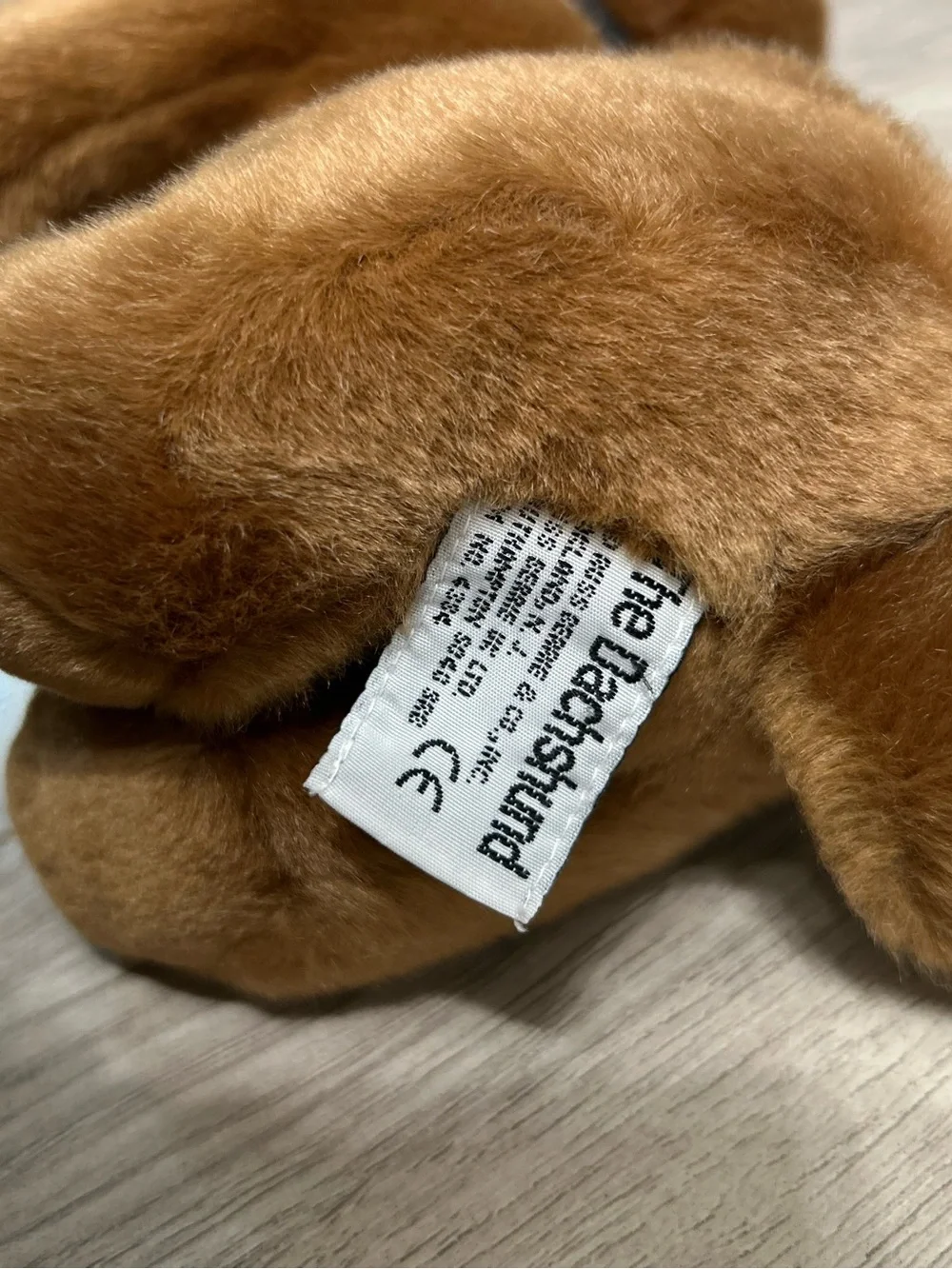 The Dachshund soft brown